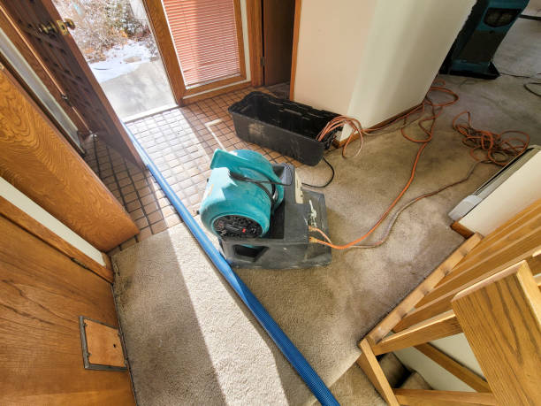 24/7 water damage repair in TX