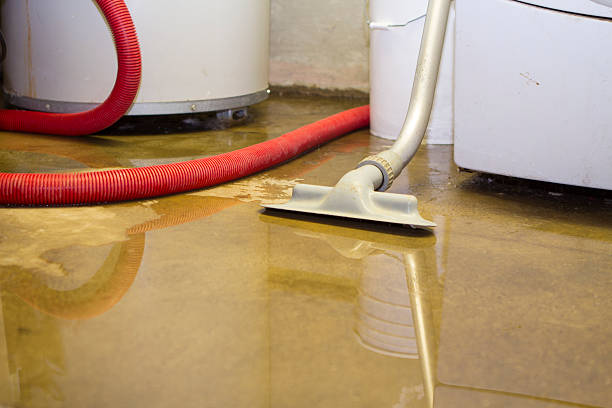 Best Professional water damage repair  in Taylor, TX