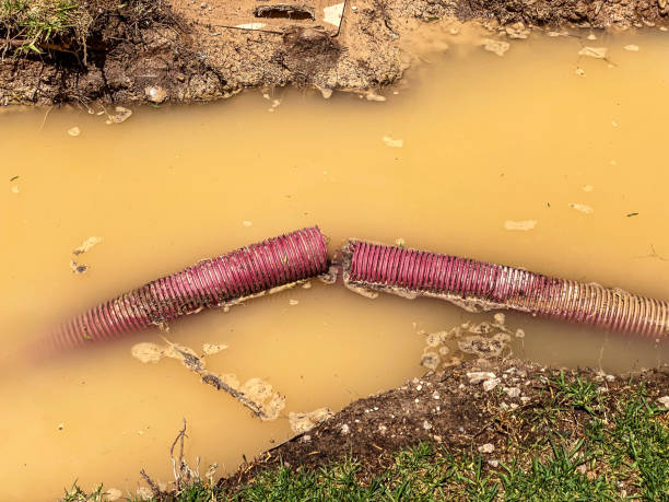 Best 24/7 water damage repair  in Taylor, TX