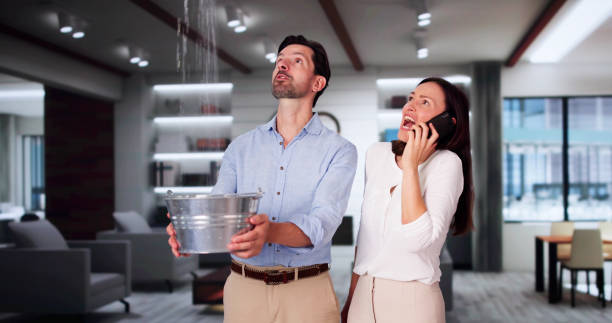 Best Basement water damage restoration  in Taylor, TX